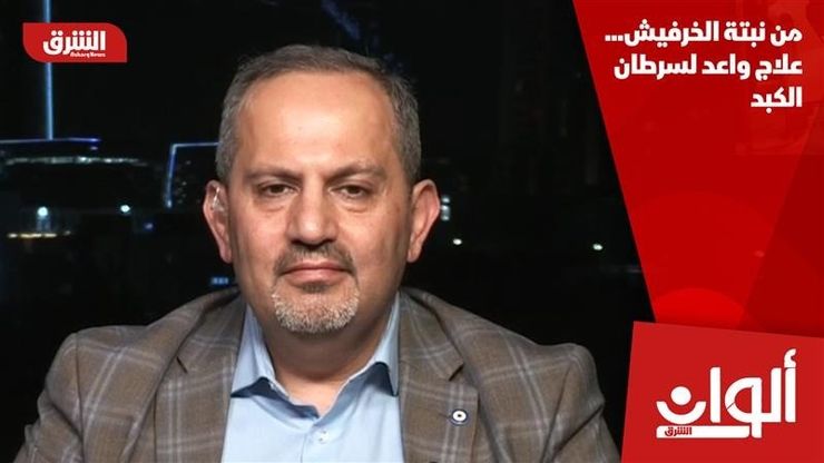 من نبتة الخرفيش... علاج واعد لسرطان الكبد