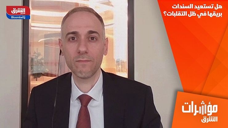 هل تستعيد السندات بريقها في ظل التقلبات؟