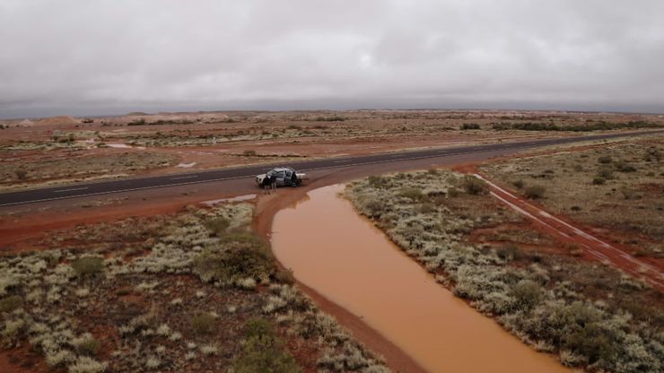 فرقة "سليم بيكنغز"