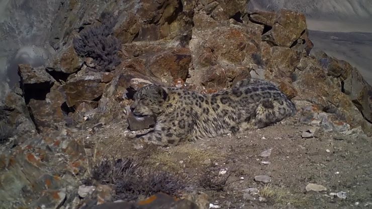 اكتشاف غير متوقع