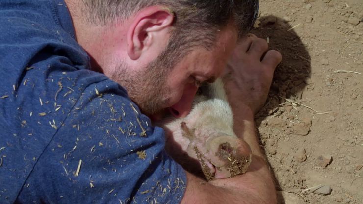 مخبأ تحت الأرض