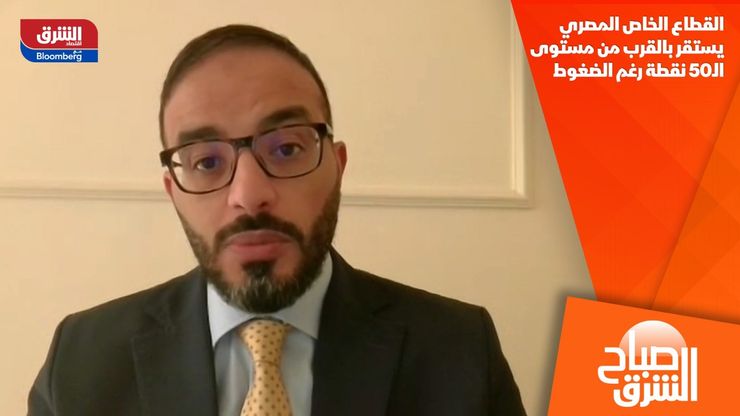 القطاع الخاص المصري يستقر بالقرب من مستوى الـ50 نقطة رغم الضغوط