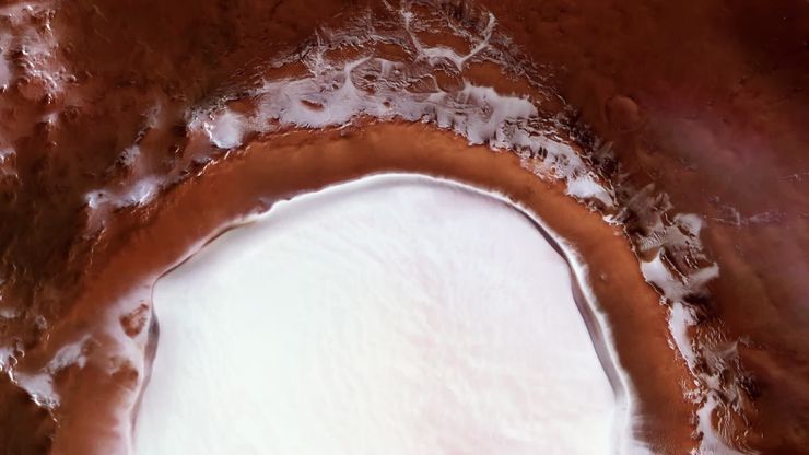 نشأة الحياة