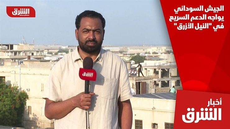 الجيش السوداني يواجه الدعم السريع في "النيل الأزرق"