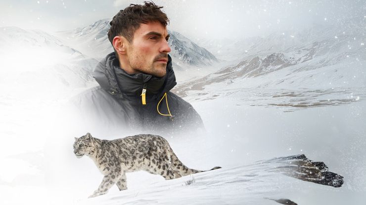 نمور الثلوج مع دان أونيل