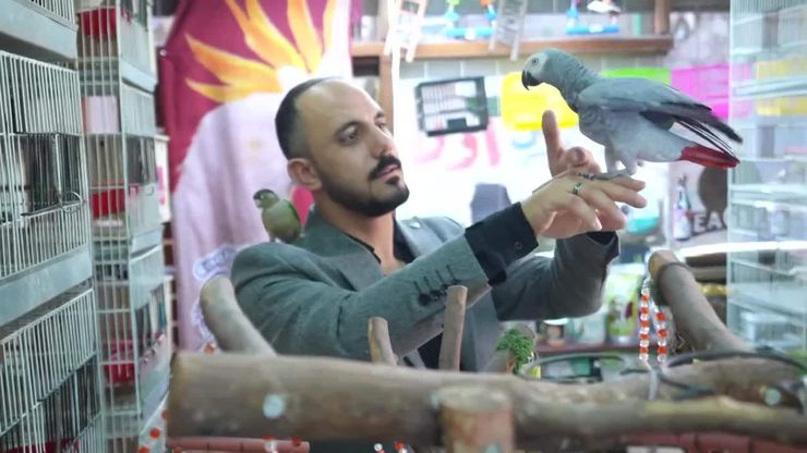 عالم الطيور بعيون حسام المصري