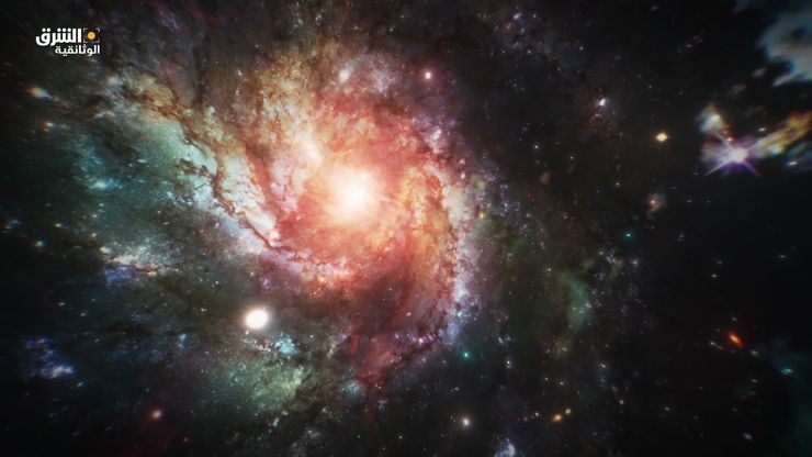 طوال القامة