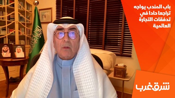 باب المندب يواجه تراجعا حادا في تدفقات التجارة العالمية