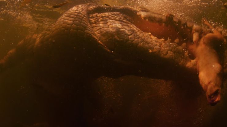 موسم الجفاف في كيمبرلي