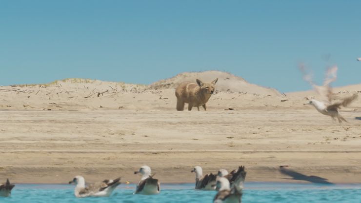 الثدييات