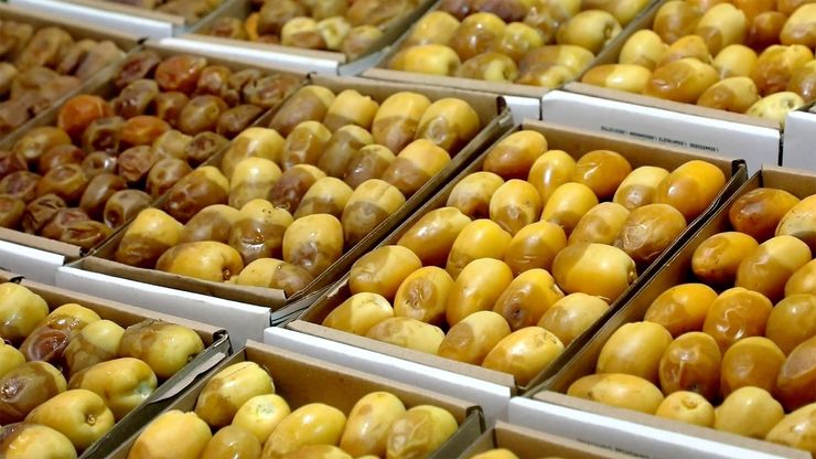 السوق السعودية والتمور.. نمو قياسي يرسخ مكانة المملكة دولياً