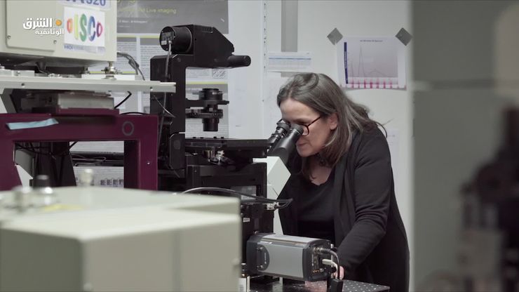 أقنعة نيكولاس روسي