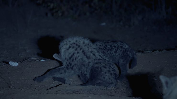 الطبيعة تستعيد أنفاسها