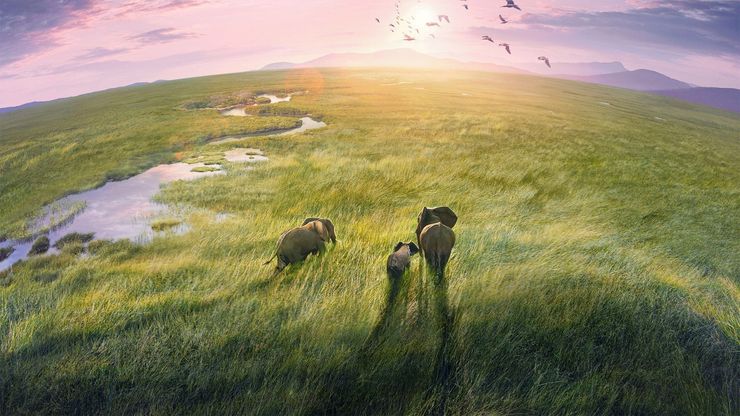 كوكب الأرض - Planet Earth III