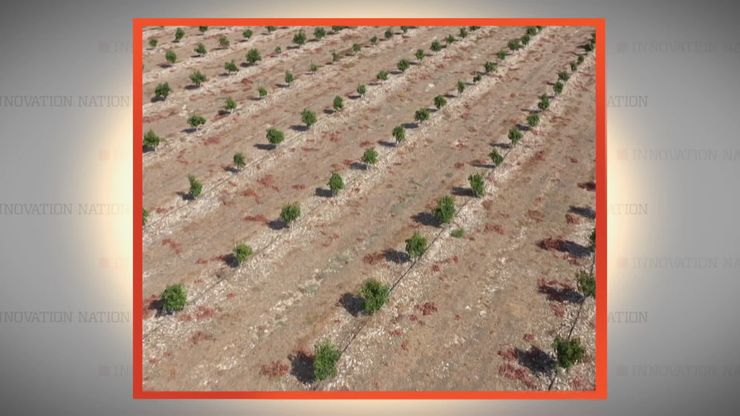 التكنولوجيا الذكية