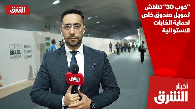 "كوب 30" تناقش تمويل صندوق خاص لحماية الغابات الاستوائية