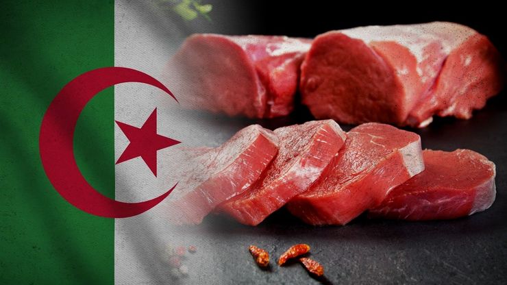 الجزائر.. زيادة الطلب على اللحوم المستوردة مع اقتراب شهر رمضان