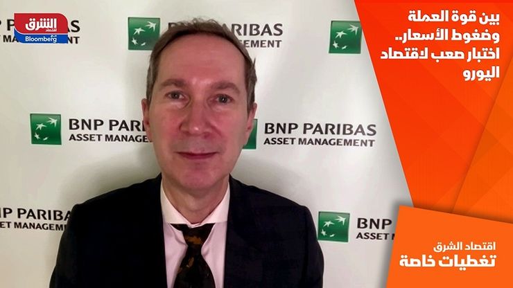 بين قوة العملة وضغوط الأسعار.. اختبار صعب لاقتصاد اليورو