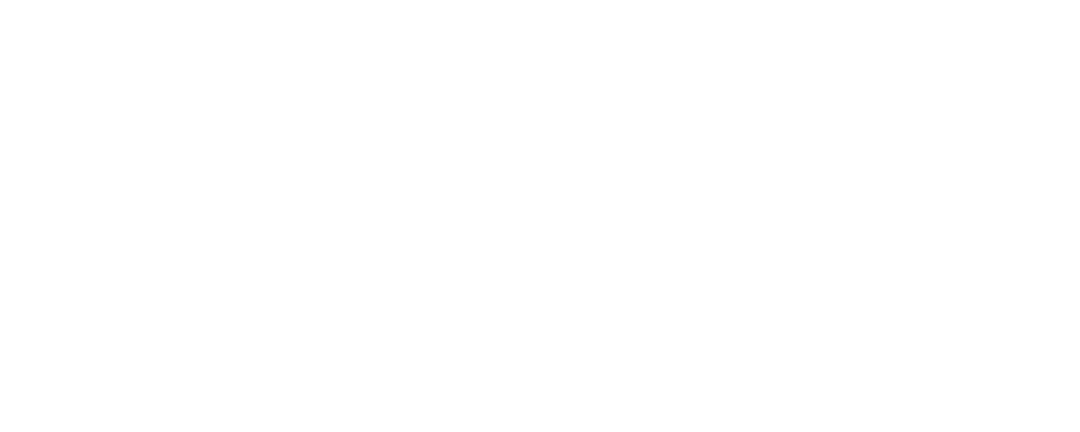 انهيار الستار الحديدي