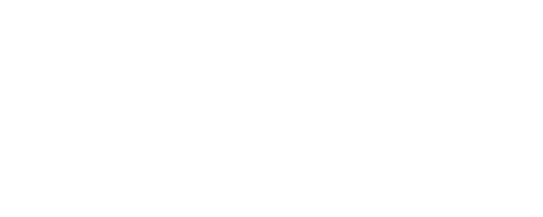 الجسور الفولاذية 