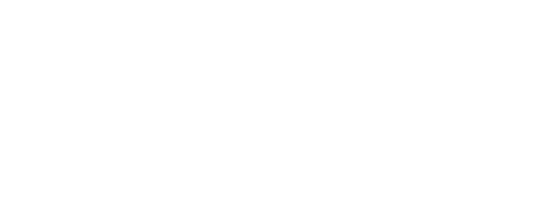 تقنيات حماية الذاكرة