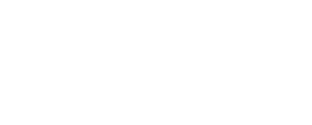 اختراع اللغة 