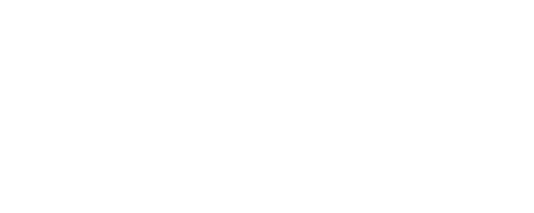 يوميات كورونا 