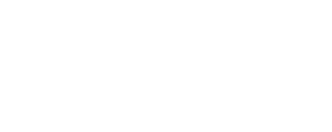 شجاعة ثورية  