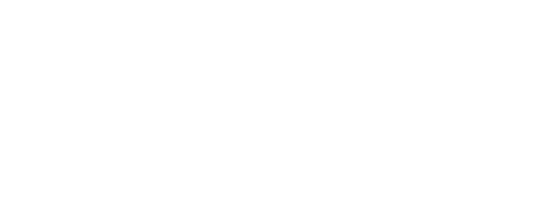 الحافظة البلاستيكية