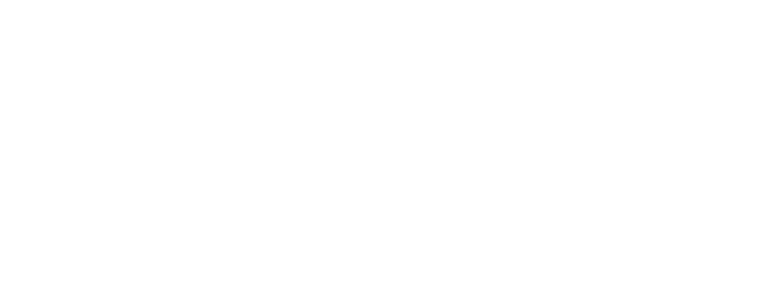 هولندا.. مافيا المخدرات