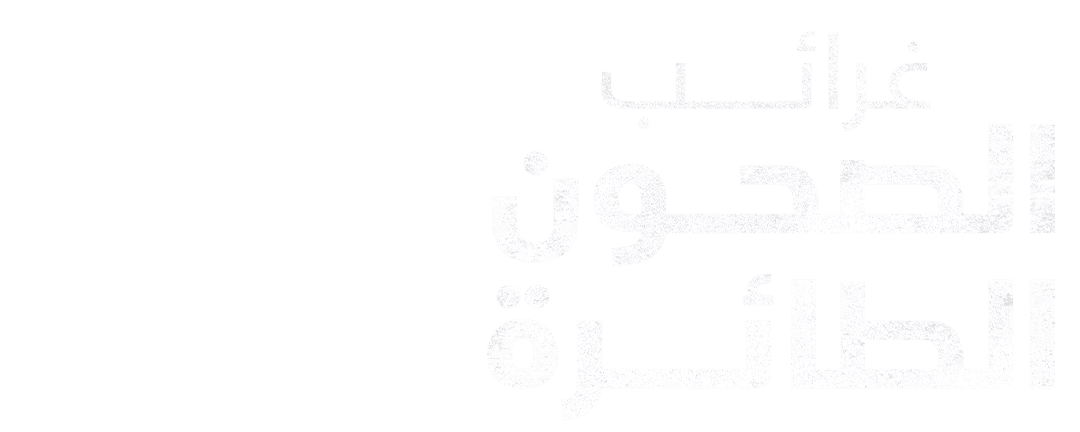 مواجهة الصحن الطائر 