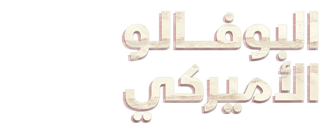  مواجهة العاصفة