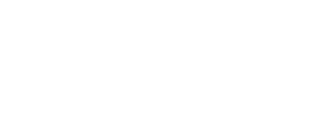 المحاربون 