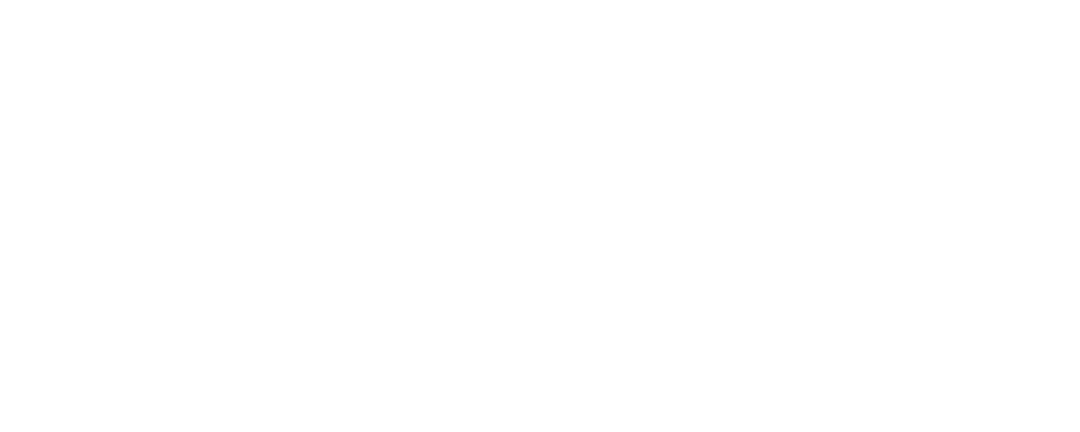 العاصفة الشرسة