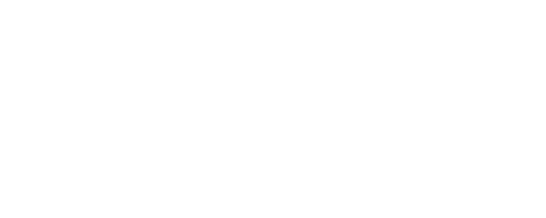 سعي الصين إلى الاكتفاء الذاتي