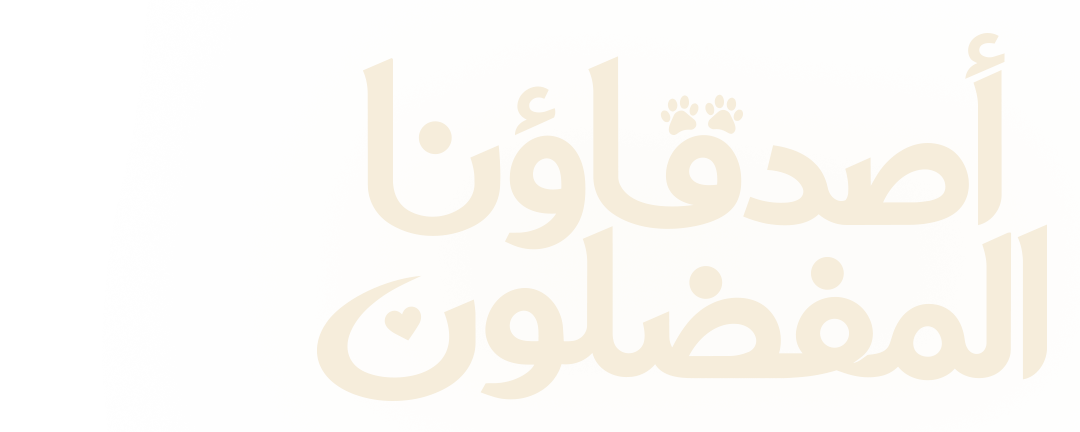 أصدقاؤنا المفضلون