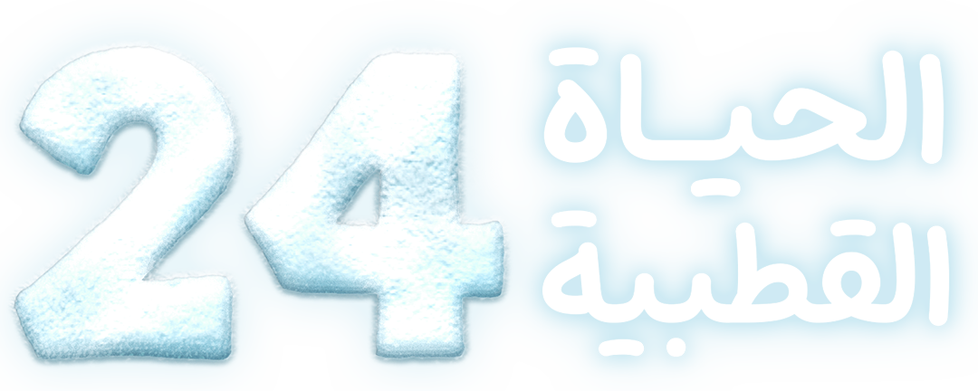 24 ساعة في الحياة القطبية
