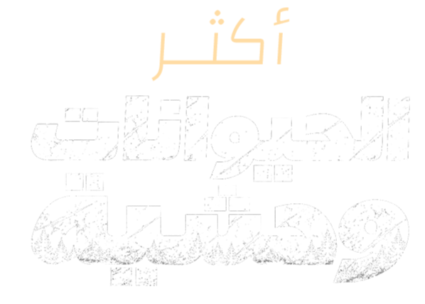 أنياب الغاب