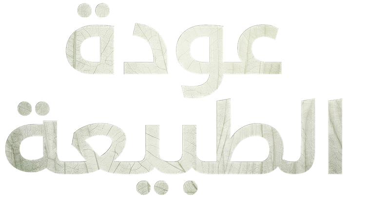 توازن الطبيعة الساحر