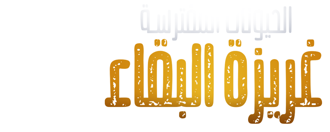 شريعة الغاب