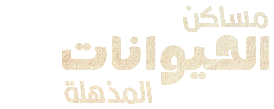 الهندسة الفطرية