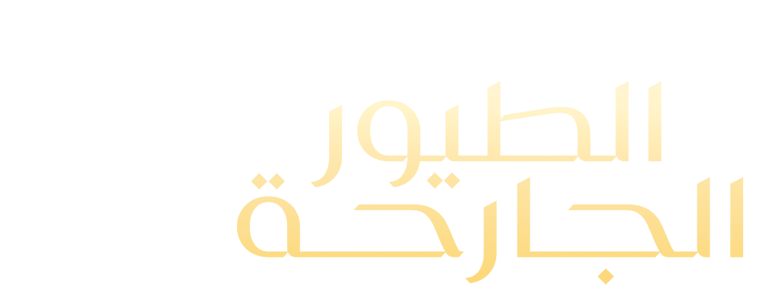 صراع الأجنحة