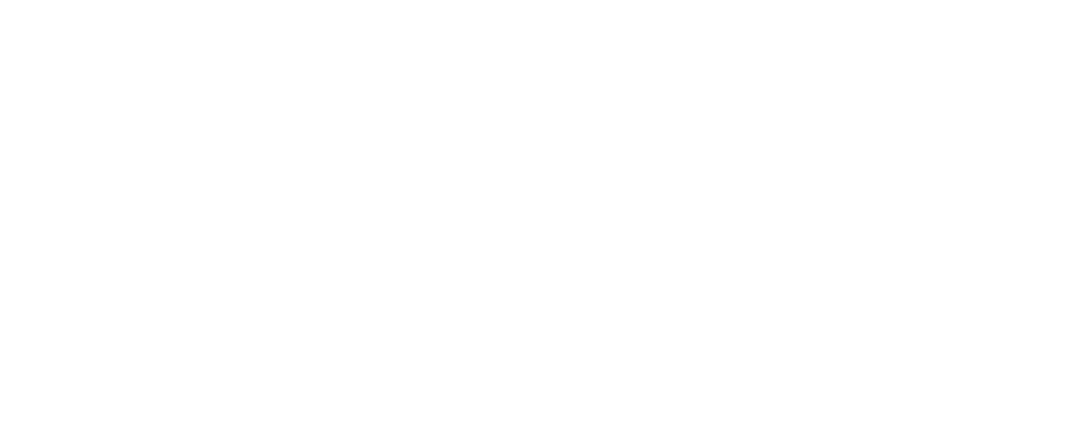 صاحب اليد السحرية