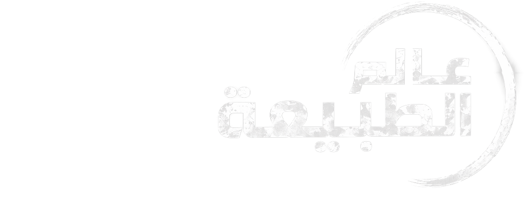 عالم الصغار