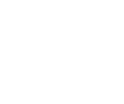 بطولة البحرين الدولية.. رحلة التطور والريادة العالمية للخيل