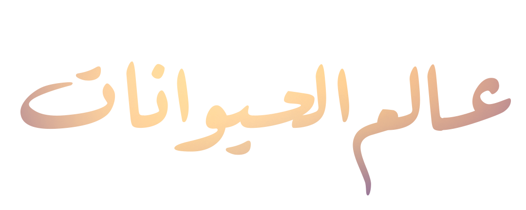 مهارات البقاء