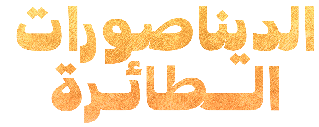 من الأرض إلى السماء