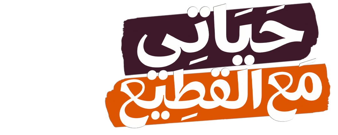 رحلة التعافي