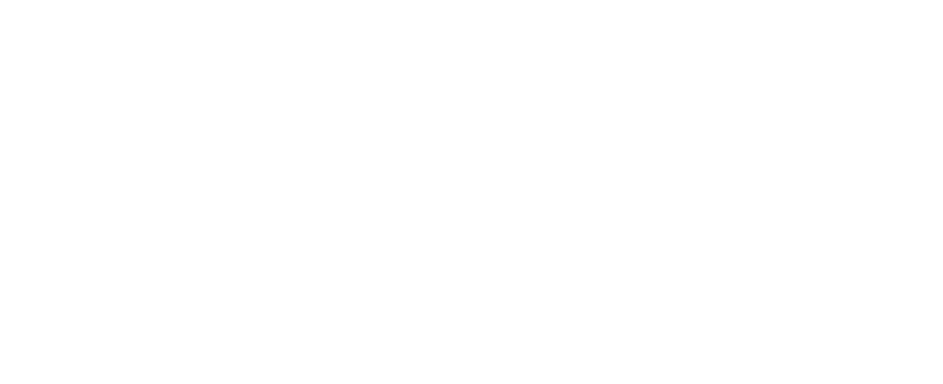 صاحب اليد السحرية