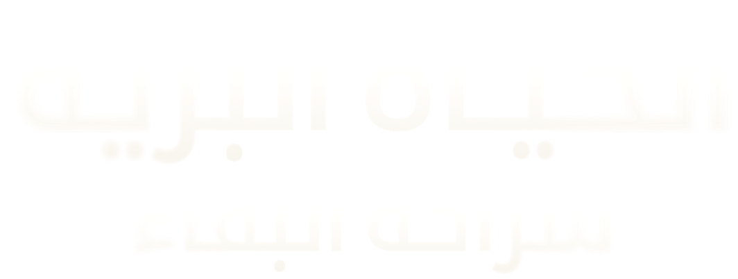 ثلاثي البقاء الشرس